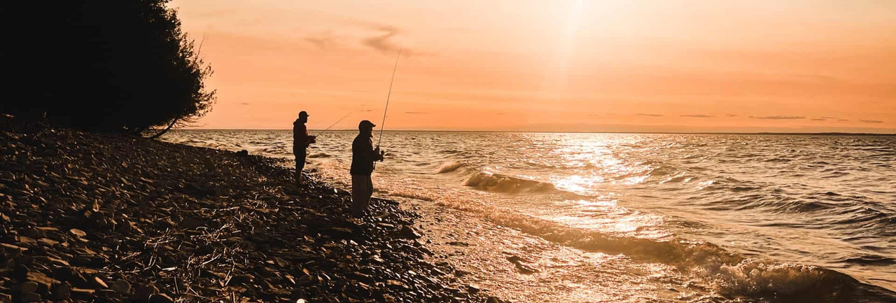 Reels