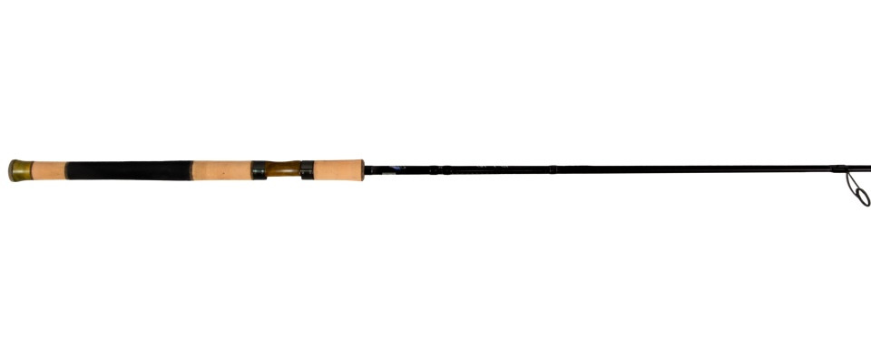 best beach fishing pole Choosing a Surf Rod