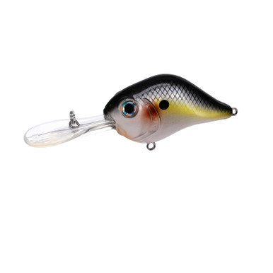 best all all around fishing lure Top 10: These Great Lure Styles Are Best for Catching Snook