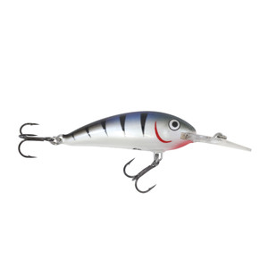 Northland Tackle | Rumble Shiner