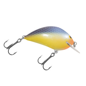 Elite Pro Sunny B