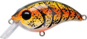 Shop All Baits | Baits.com - Page 5