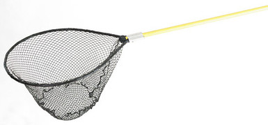 All Nets On Deck