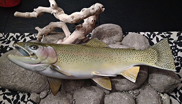 Stuffed Trout