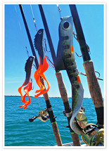 Heavyweight Bait