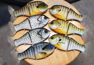 Big Bait Bouillabaisse