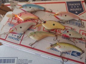Balsa Bud