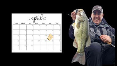 Catching a Buzz in April