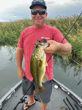 A New Craw up Hawk's Sleeve