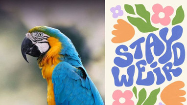 Stay Weird
