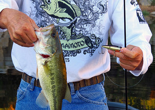 Finding Bass - Post Spawn/Early Summer Channels