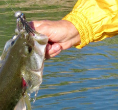 Spring Jig Fishing