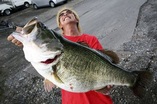 Why Bass?