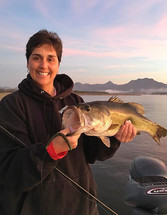 Hecho en Mexico -- One Rod Todd