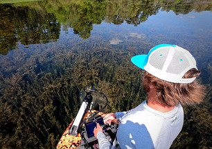 Shryock's 4 Must-Have Bed Fishing Baits