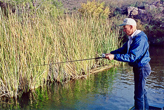 Four Tactics for Post-Spawn Bass