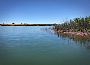The Versatile Swim Bait