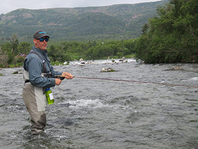 Katmai Scratch Fever
