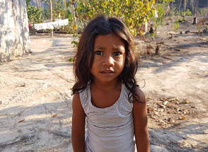 Brazil — Going Native
