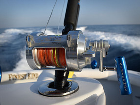 What's That Reel?