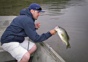 Bubba Rig Basics