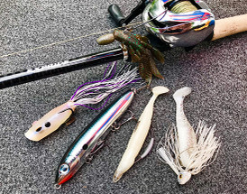 Beatin' the Bank with Bernie Schultz - 2019 Lake Guntersville BASS Elite