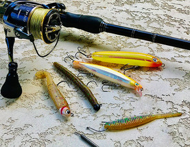 Beatin' the Bank with Bernie Schultz - 2019 St. Lawrence River B.A.S.S. Elite