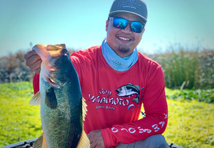 Early Spring Tips