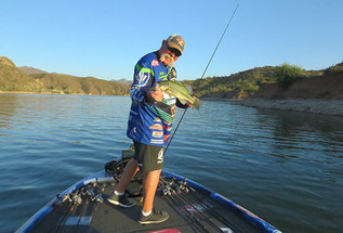 Zero In On Summer Bass