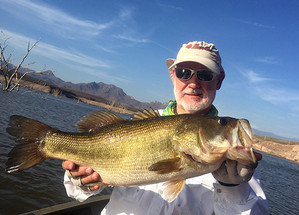 Senkos and Suspended Bass – the El Salto Connection