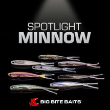 The Spotlight Minnow 