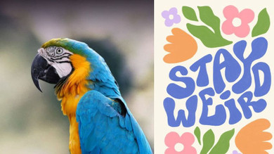Stay Weird