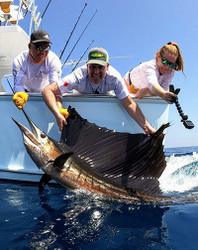 Big Fish Bouillabaisse