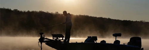 Sierra Trout and Panfish