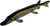 Bear Creek 10" Pike Spearing Decoy