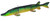 Bear Creek 10" Pike Spearing Decoy