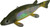 Bear Creek 8" Perch Spearing Decoy