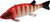 Bear Creek 8" Perch Spearing Decoy