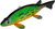 Bear Creek 8" Perch Spearing Decoy