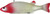 Bear Creek 8" Perch Spearing Decoy