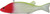 Bear Creek 8" Perch Spearing Decoy