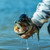 Yamamoto Baits | Hinge Minnow