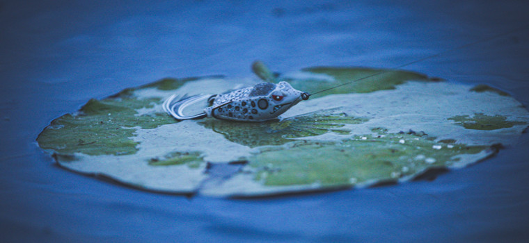 ルーニーフロッグ Frog Factory Products - Baits.com