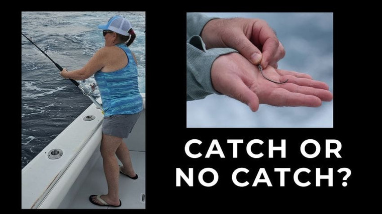 Schrödinger's Marlin