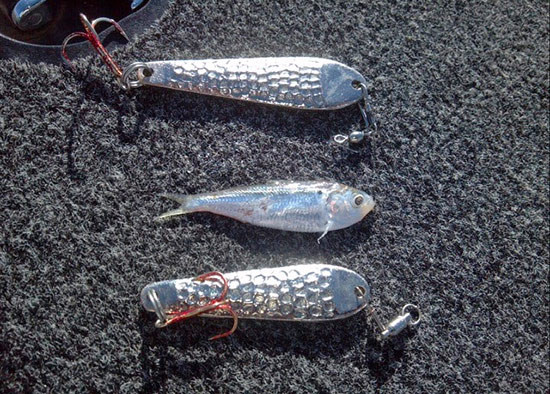 Beatin' the Bank with Bernie Schultz - 2016 Cayuga Lake BASS Elite
