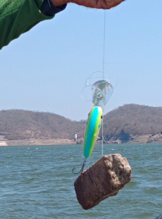 Gimme the Rock