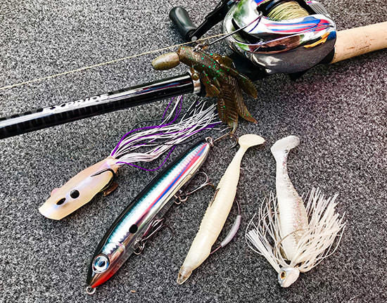 Beatin' the Bank with Bernie Schultz - 2019 Lake Guntersville BASS Elite