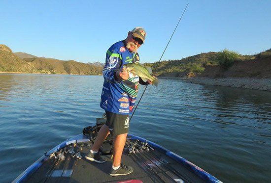 Zero In On Summer Bass