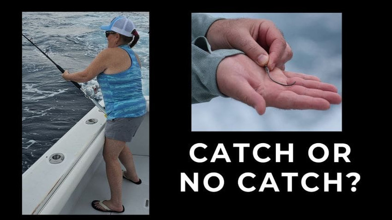 Schrödinger's Marlin