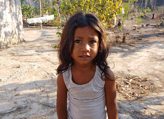 Brazil — Going Native